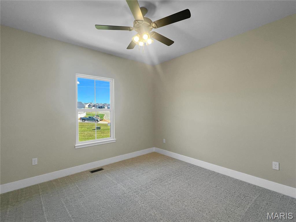 2912 Bluff Ridge Court Property Photo 17