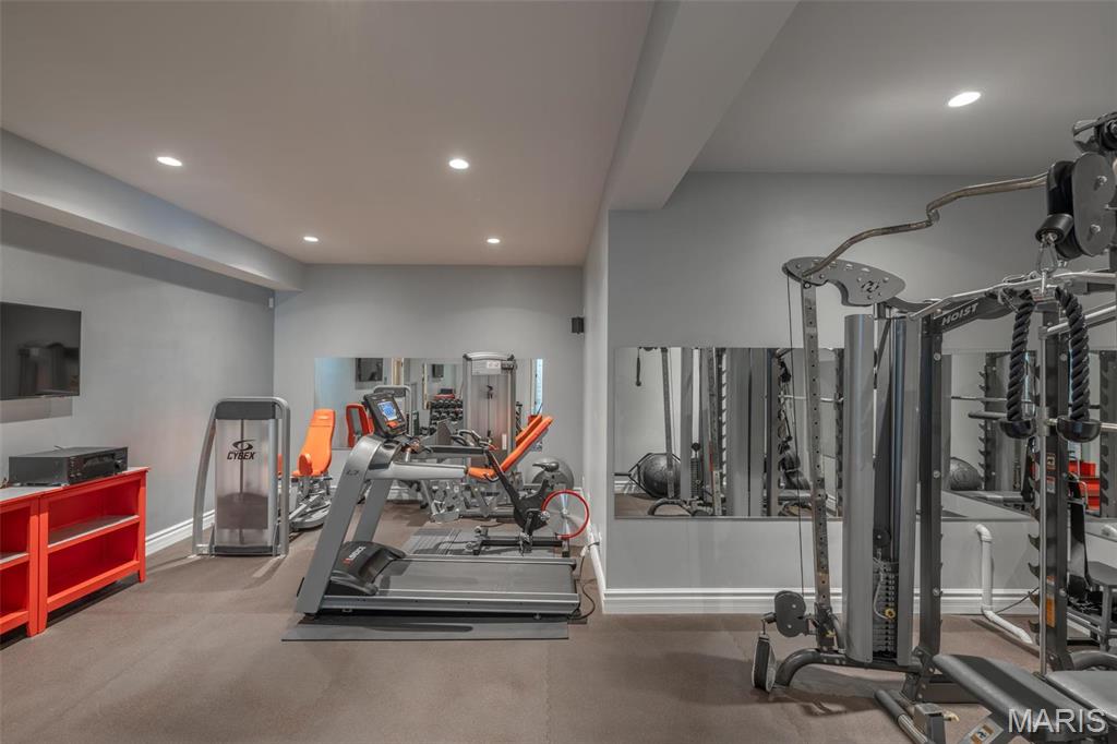 2471 Alpine Cove Drive Property Photo 49