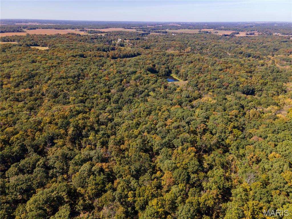 27234 Highway Z Highway Property Photo 67