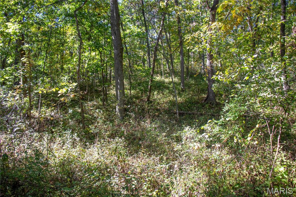 27234 Highway Z Highway Property Photo 75