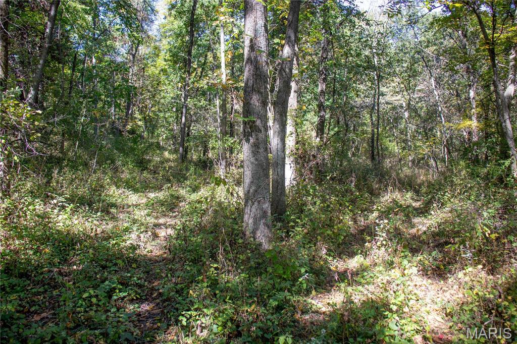 27234 Highway Z Highway Property Photo 76