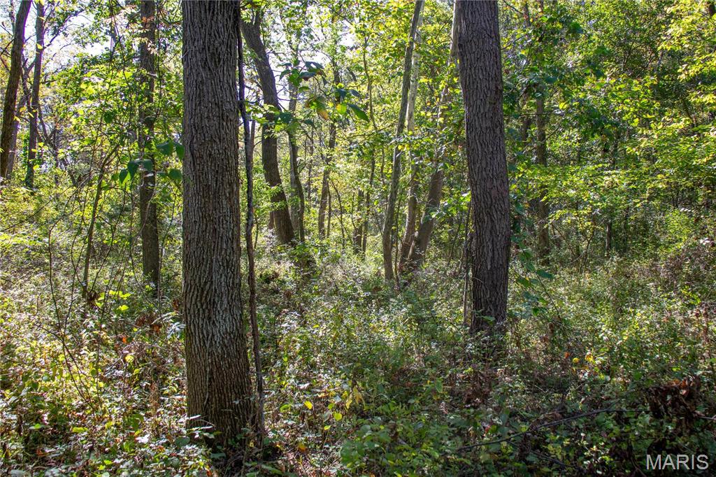 27234 Highway Z Highway Property Photo 78