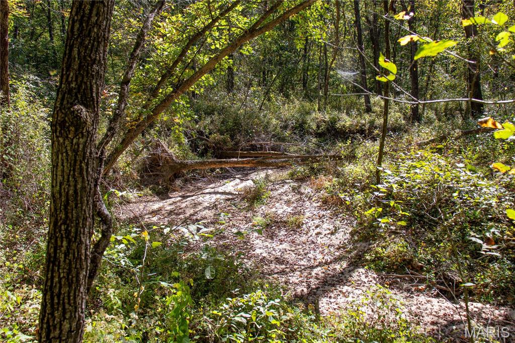 27234 Highway Z Highway Property Photo 81
