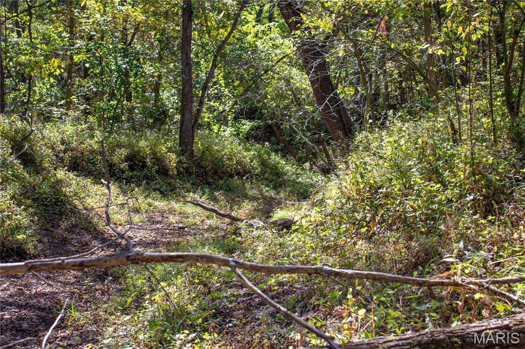 27234 Highway Z Highway Property Photo 83