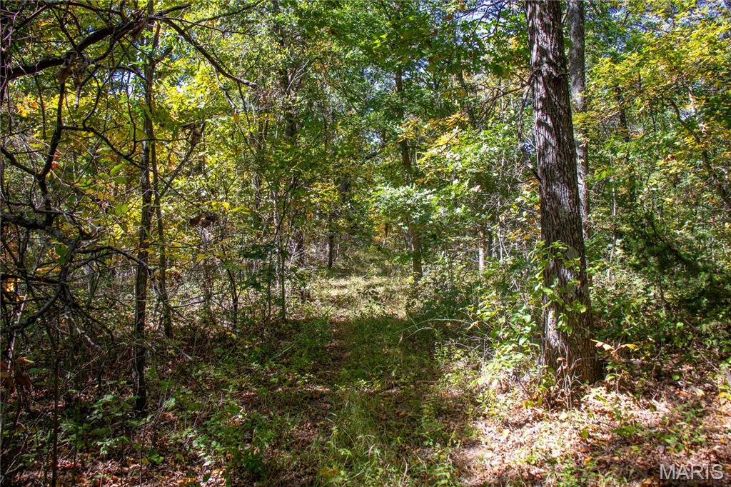 27234 Highway Z Highway Property Photo 87