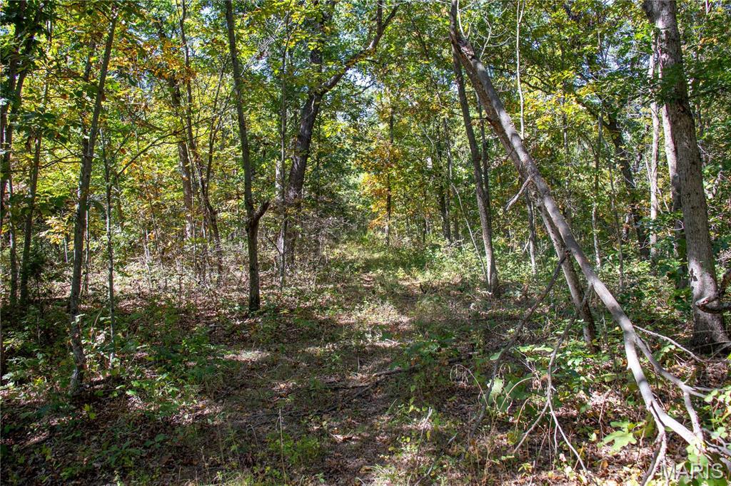 27234 Highway Z Highway Property Photo 88