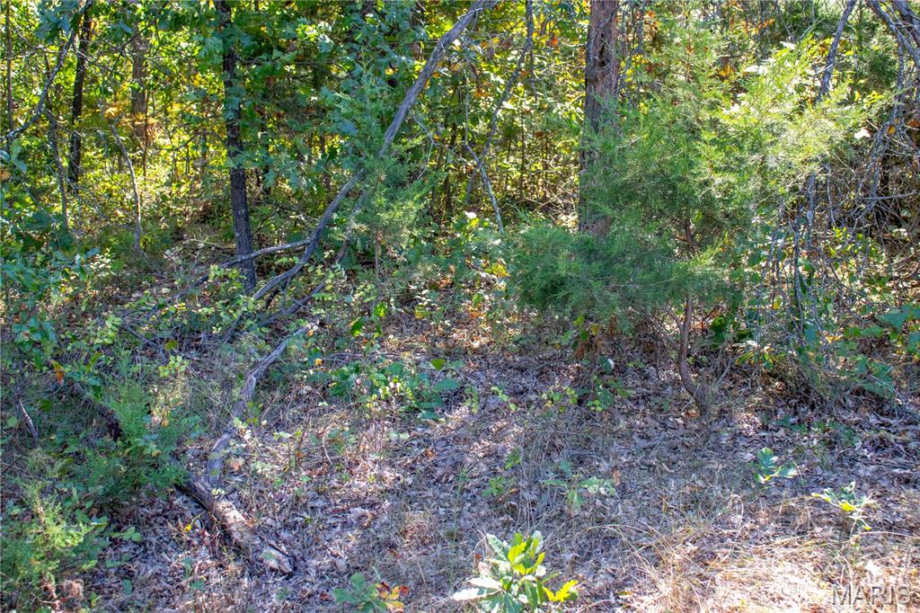 27234 Highway Z Highway Property Photo 89