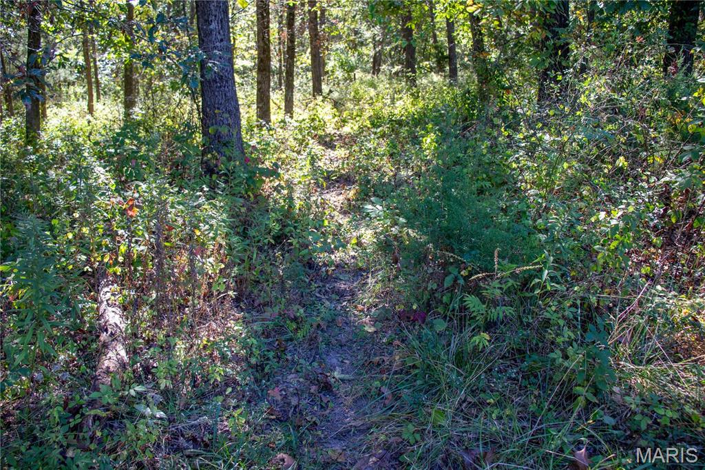 27234 Highway Z Highway Property Photo 94