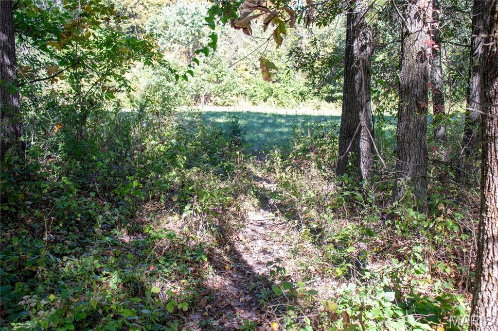 27234 Highway Z Highway Property Photo 95