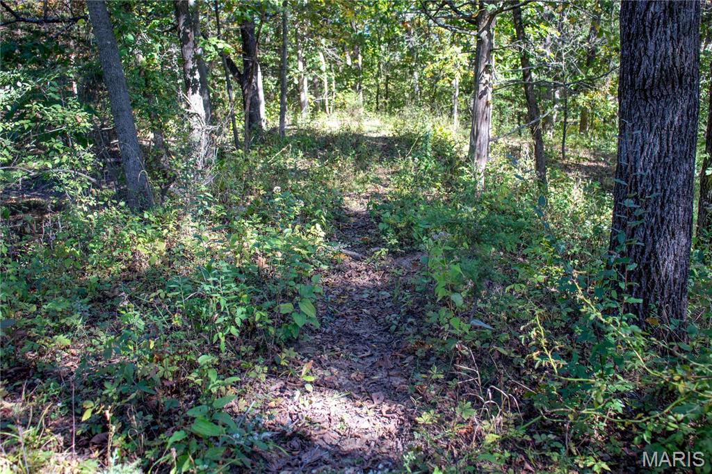 27234 Highway Z Highway Property Photo 96