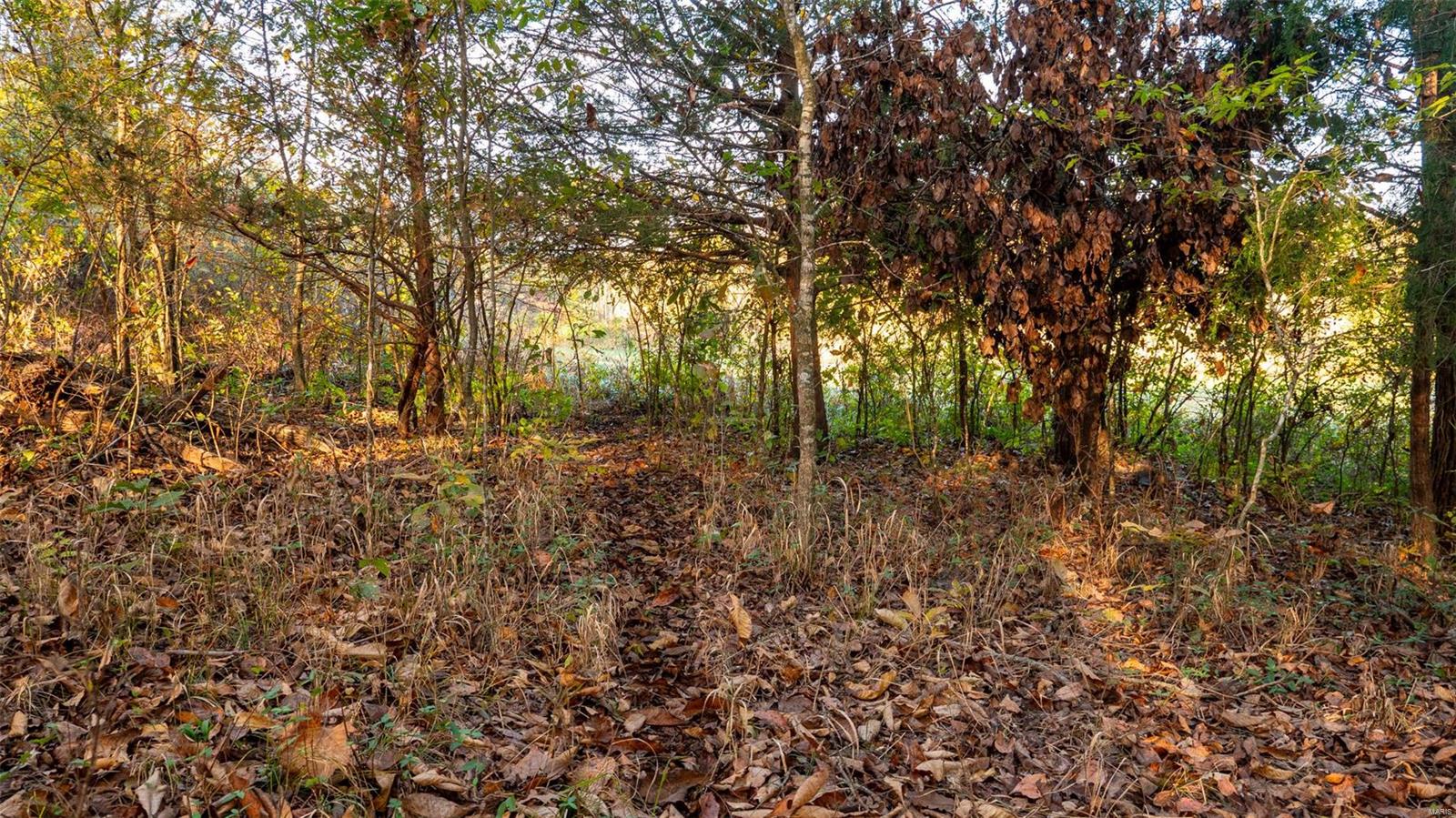 0 Cr 371 Property Photo 28