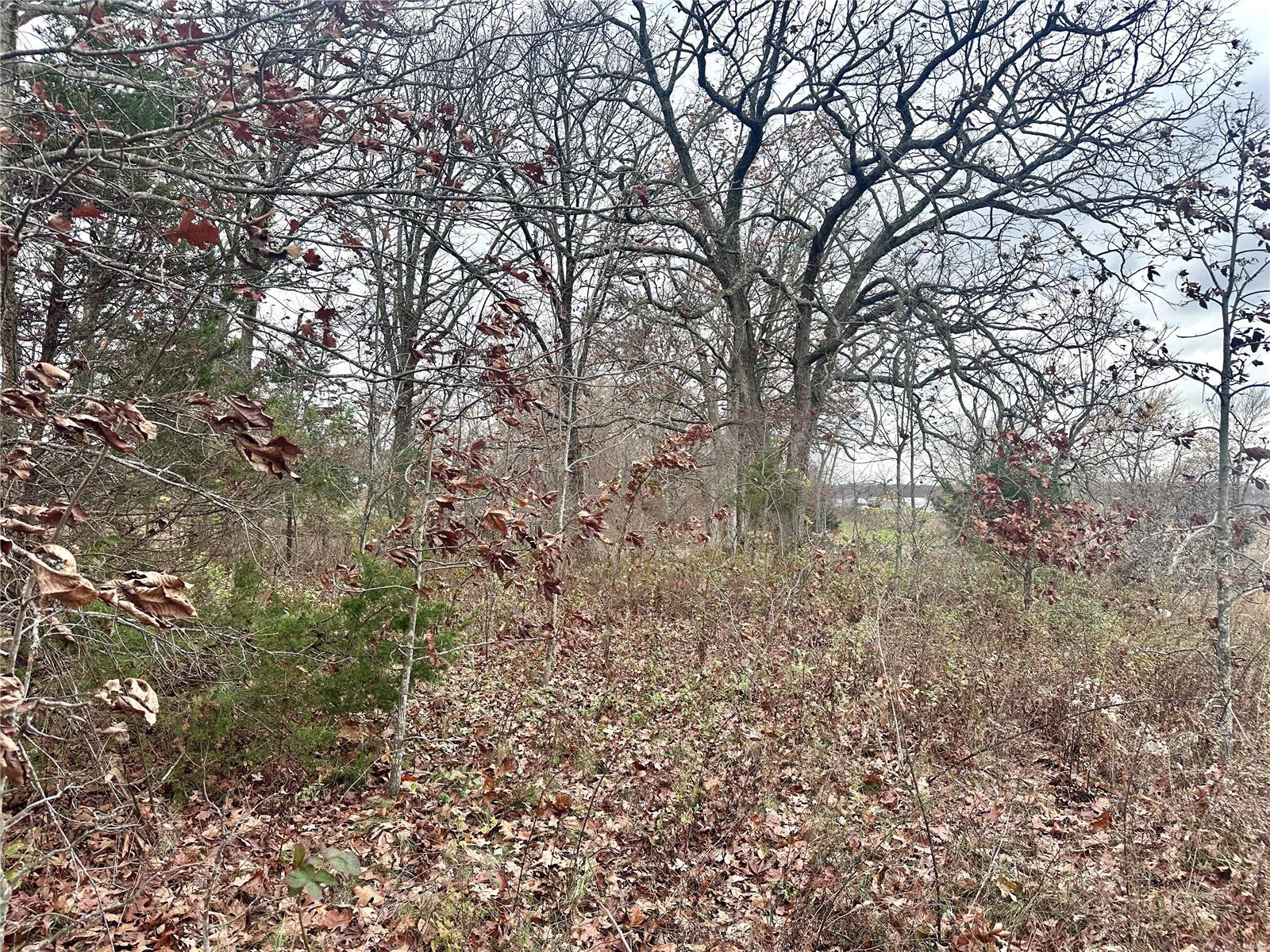 99 N Scott Road Property Photo 14