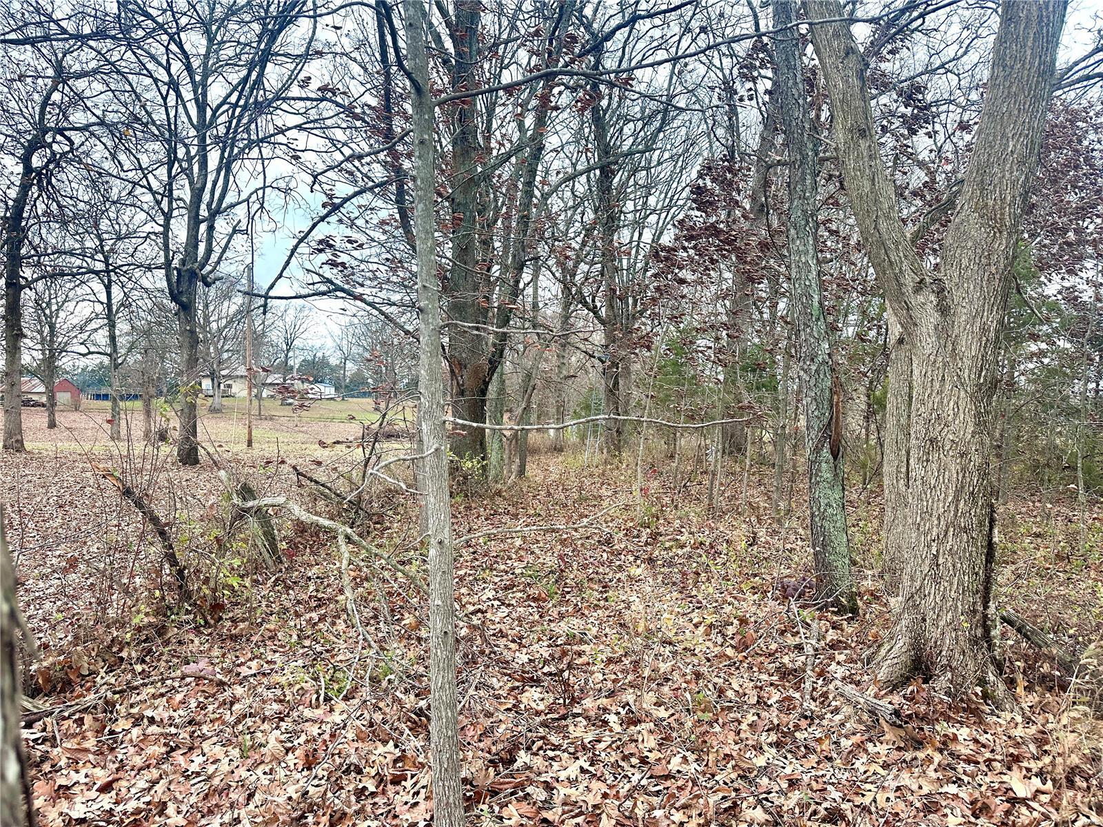 99 N Scott Road Property Photo 16