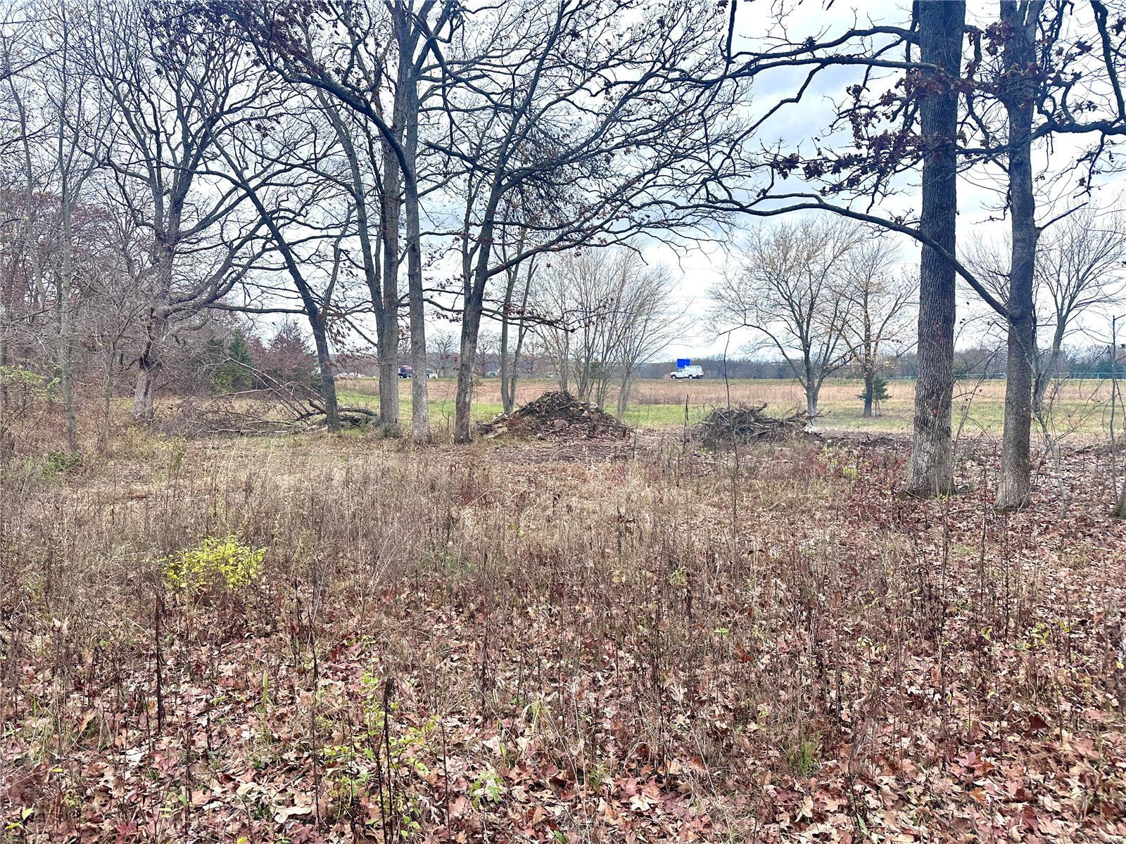 99 N Scott Road Property Photo 17