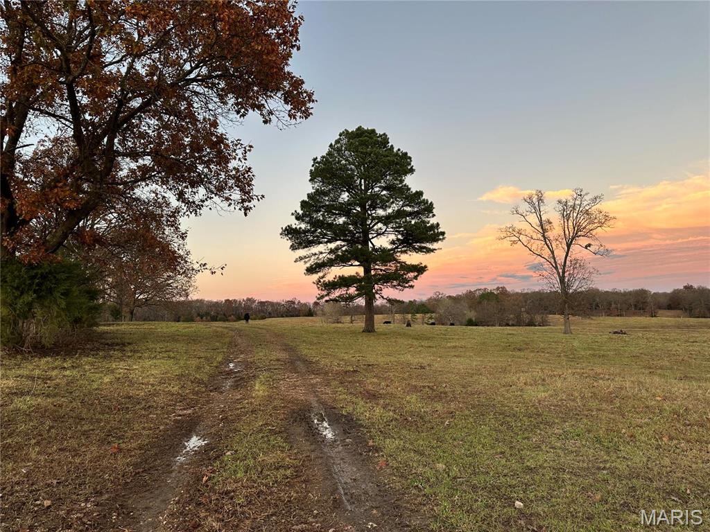 24068174 Property Photo 4
