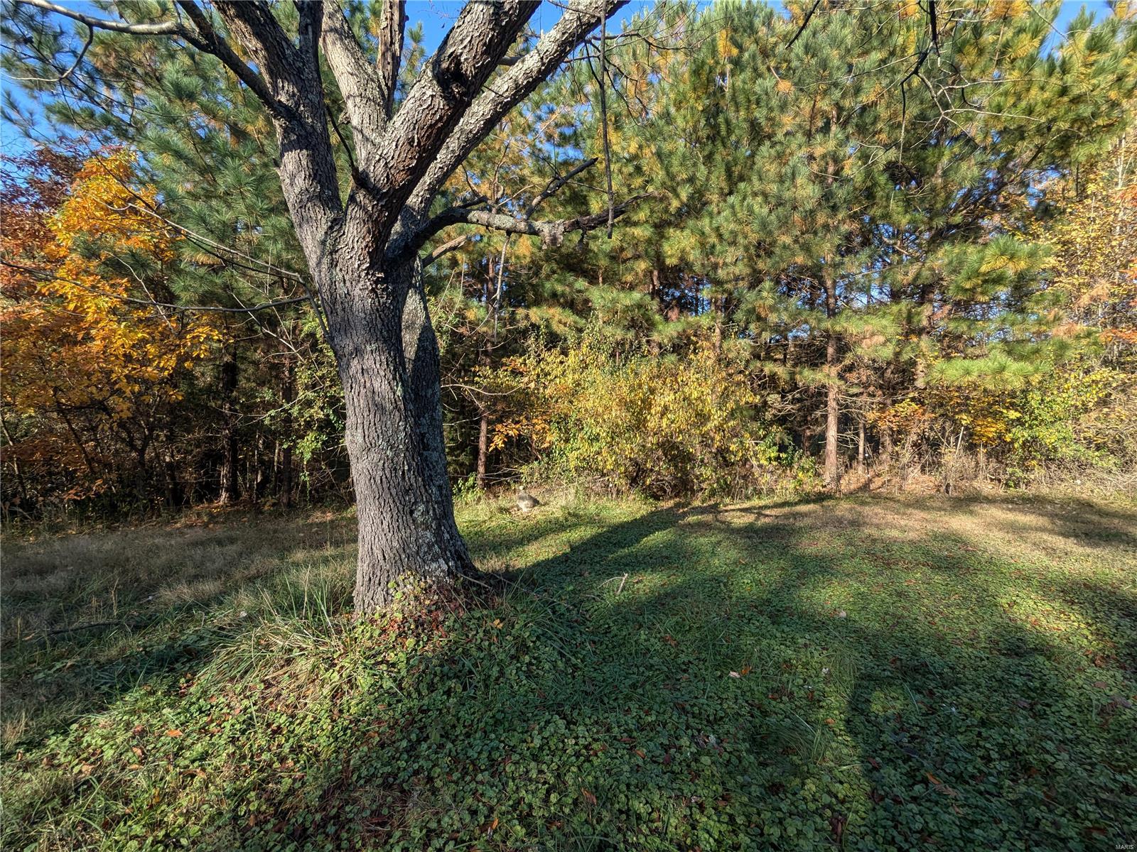 0 N Moonbeam Property Photo 1