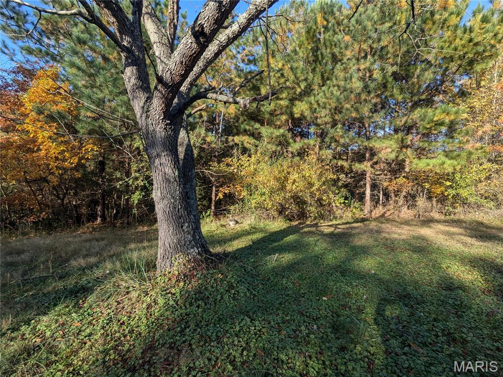 0 N Moonbeam Property Photo 1