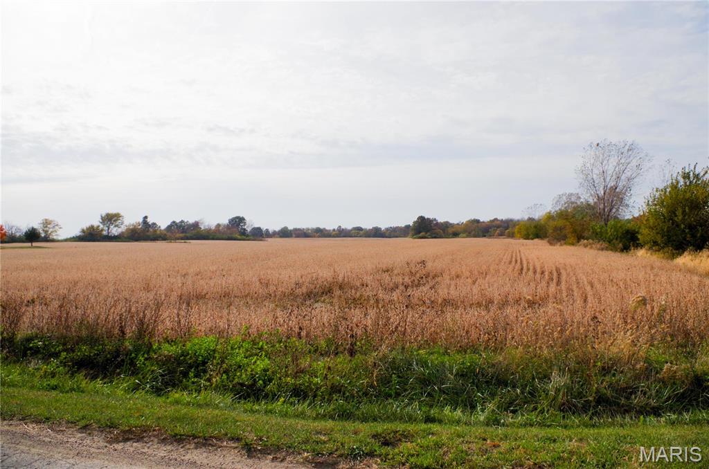 312 Pike County Road Property Photo 2