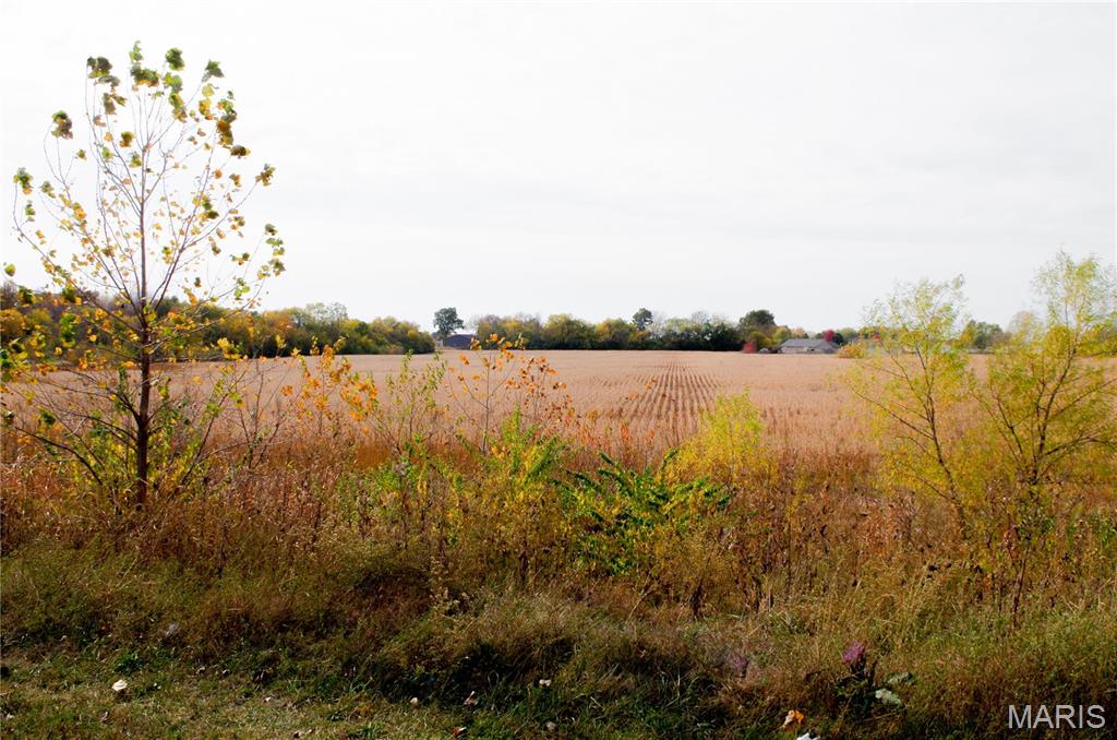 312 Pike County Road Property Photo 4