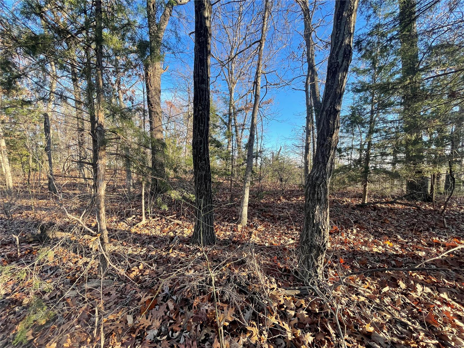 0 Apollo Drive Property Photo 4