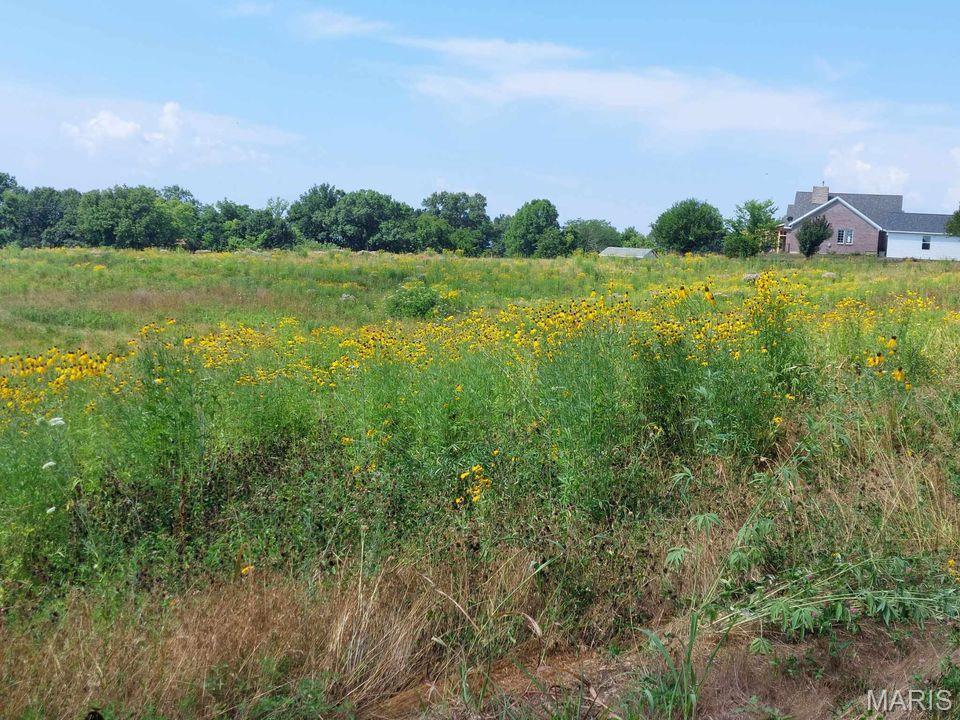 5310 Tebbetts View Drive Property Photo 37