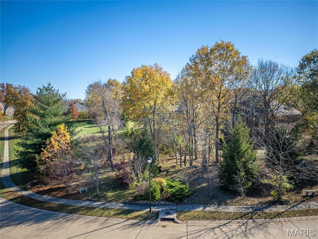 7406 Creek Ridge Lane Property Photo 74