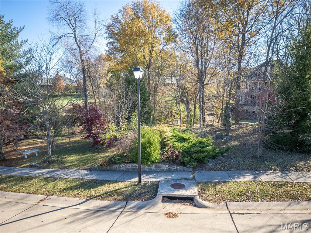 7406 Creek Ridge Lane Property Photo 79