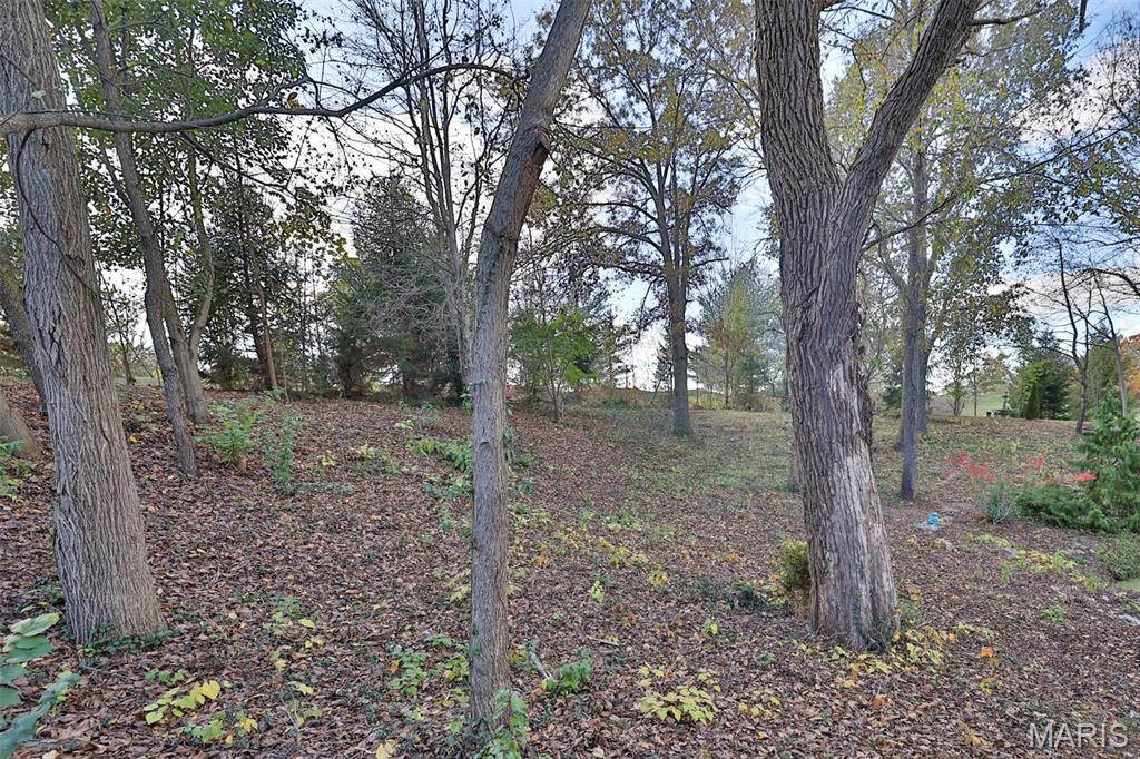 7406 Creek Ridge Lane Property Photo 83