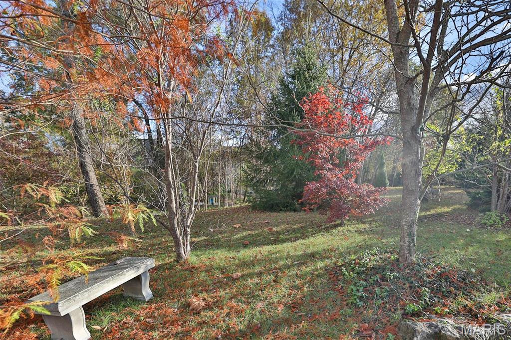 7406 Creek Ridge Lane Property Photo 87