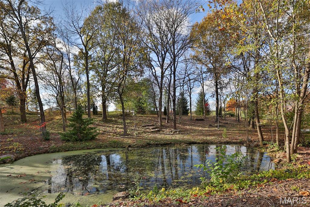 7406 Creek Ridge Lane Property Photo 90