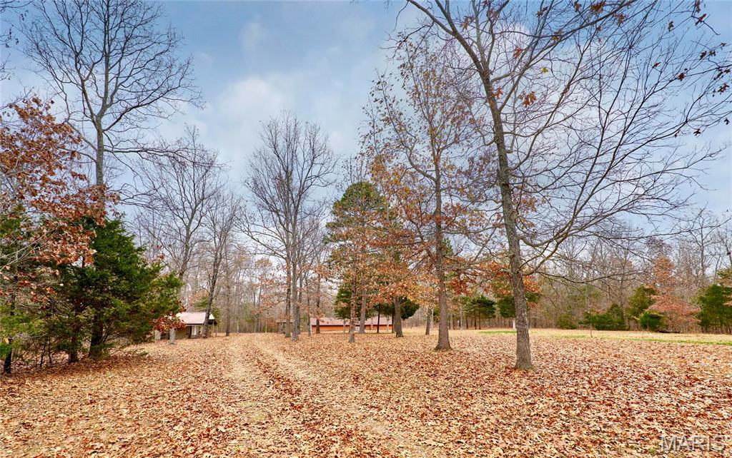 10994 Webster Road Property Photo 6