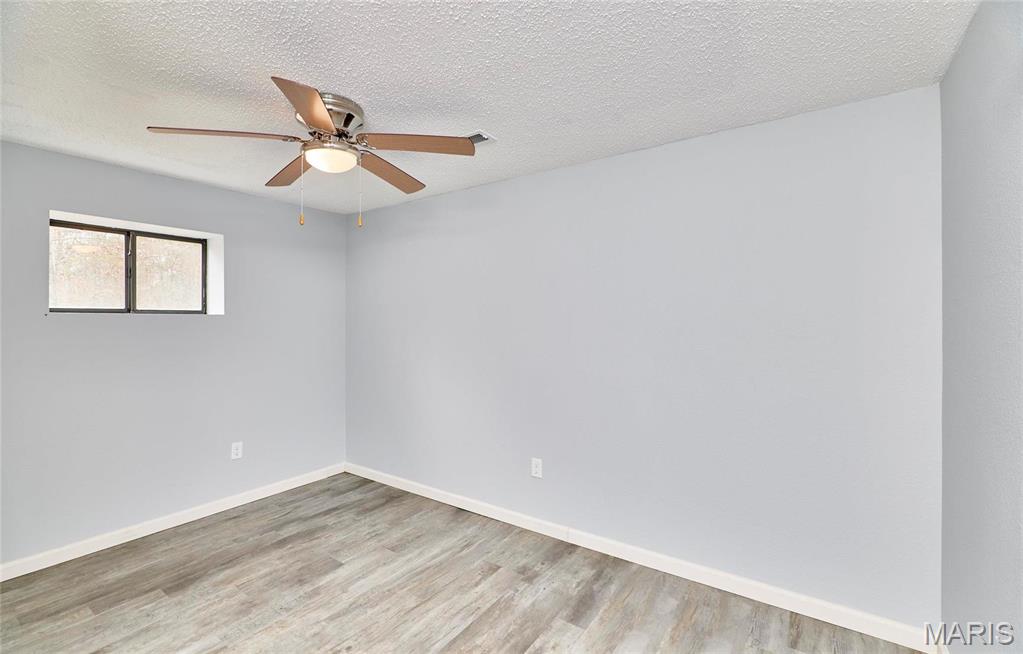 10994 Webster Road Property Photo 34