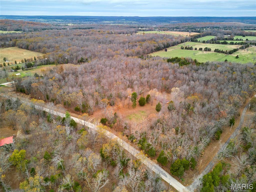 10994 Webster Road Property Photo 43
