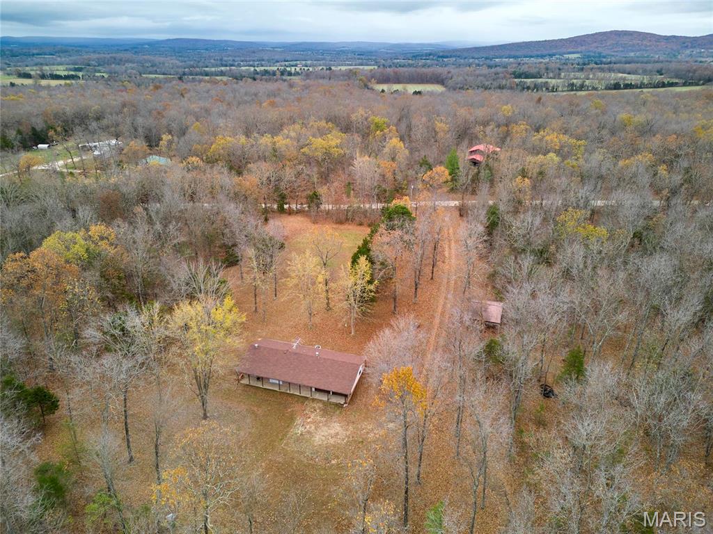 10994 Webster Road Property Photo 44