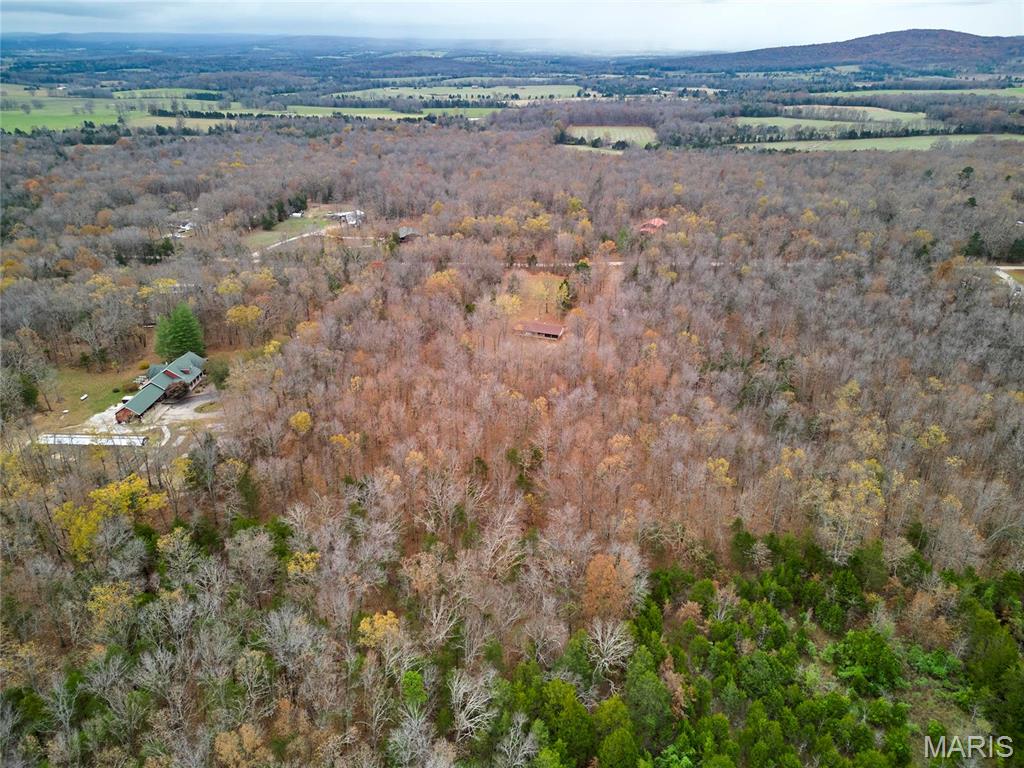 10994 Webster Road Property Photo 46
