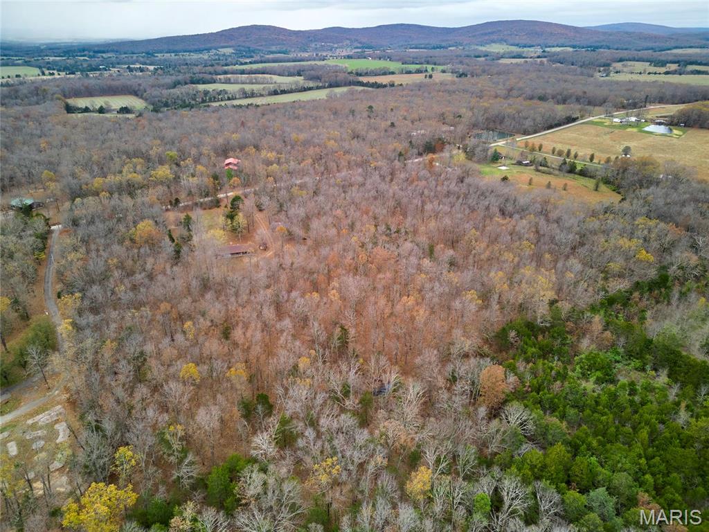 10994 Webster Road Property Photo 47