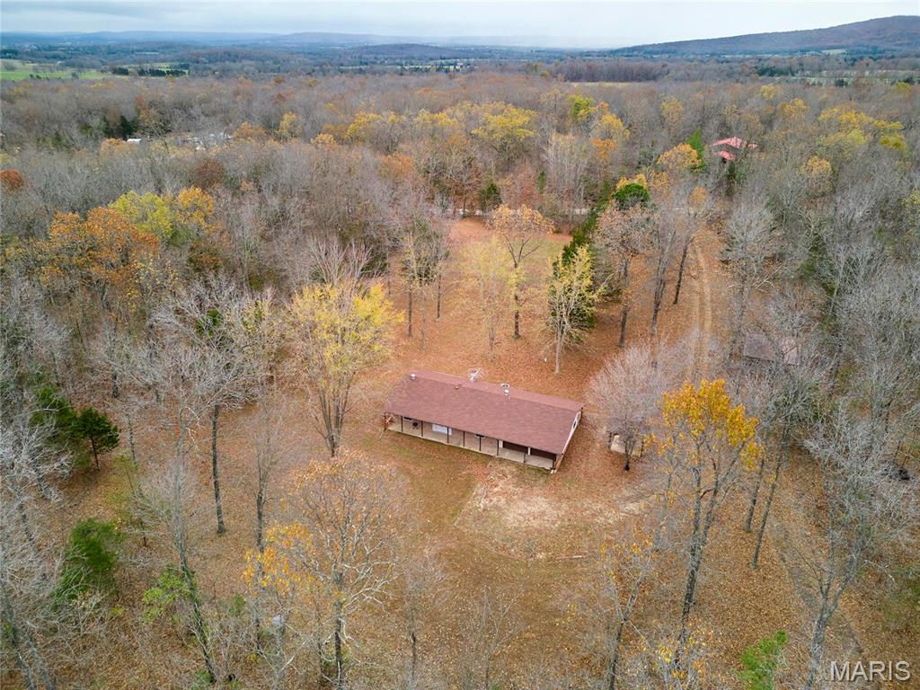 10994 Webster Road Property Photo 48