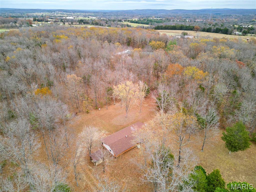 10994 Webster Road Property Photo 49
