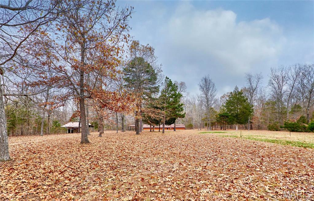 10994 Webster Road Property Photo 50