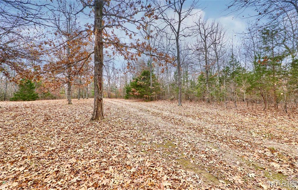 10994 Webster Road Property Photo 52