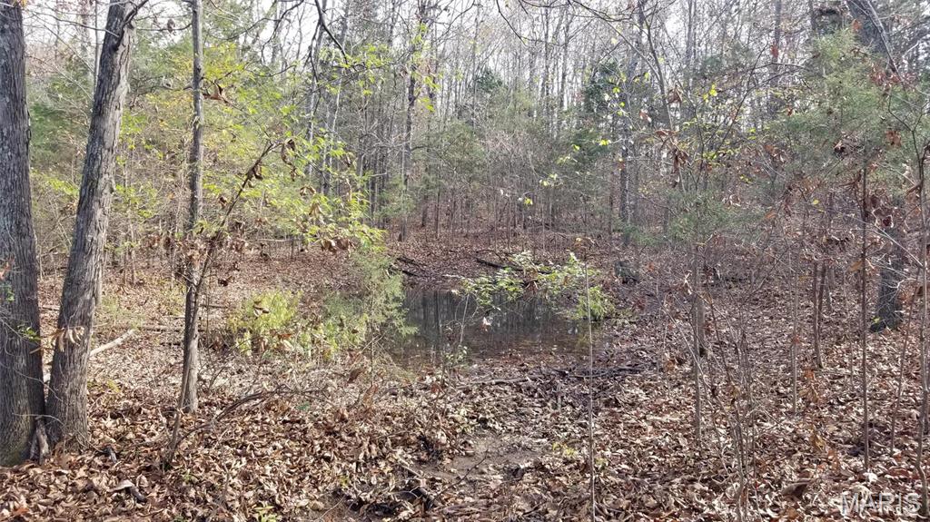 10994 Webster Road Property Photo 56