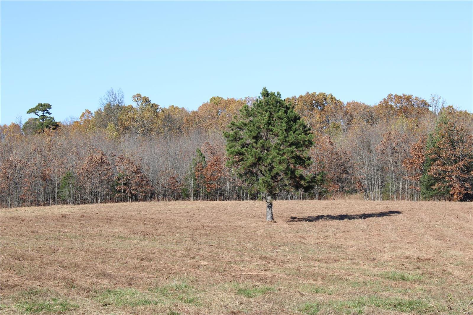 0 County Rd 2780 Property Photo 1