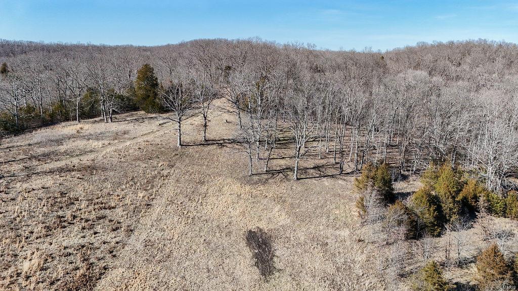 9454 Little Indian Creek Road Property Photo 6