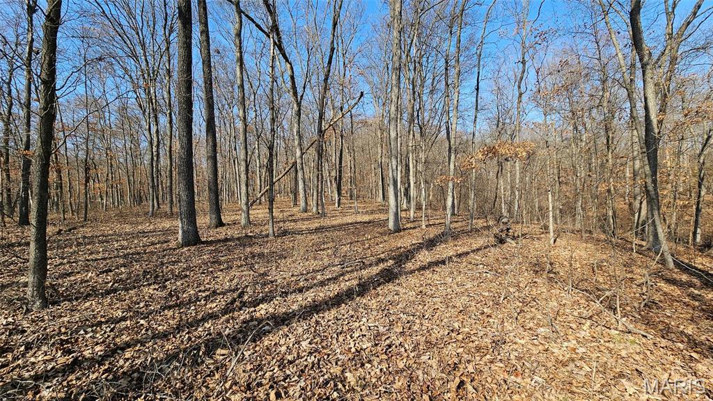 205 Hemsath Property Photo 12
