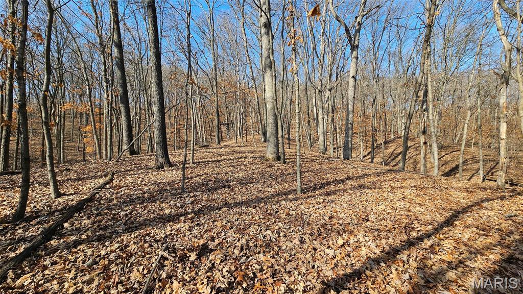 205 Hemsath Property Photo 13