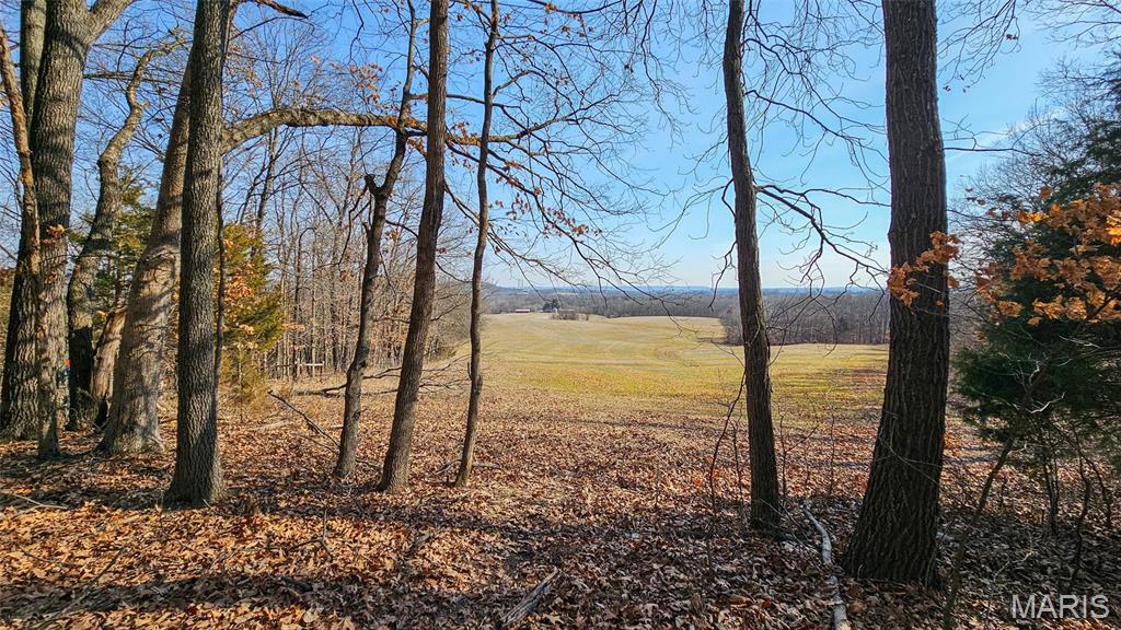 205 Hemsath Property Photo 14