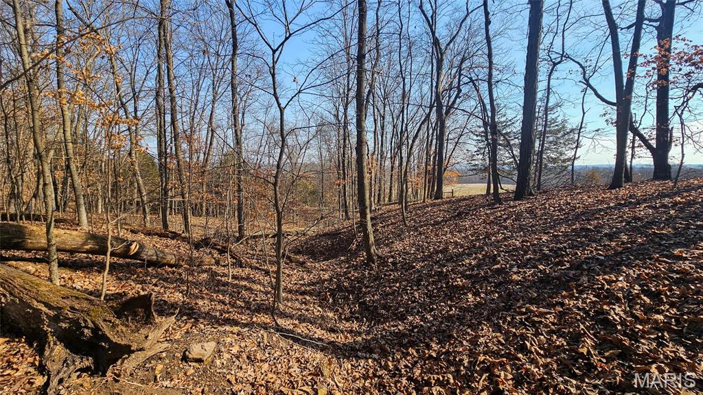 205 Hemsath Property Photo 15