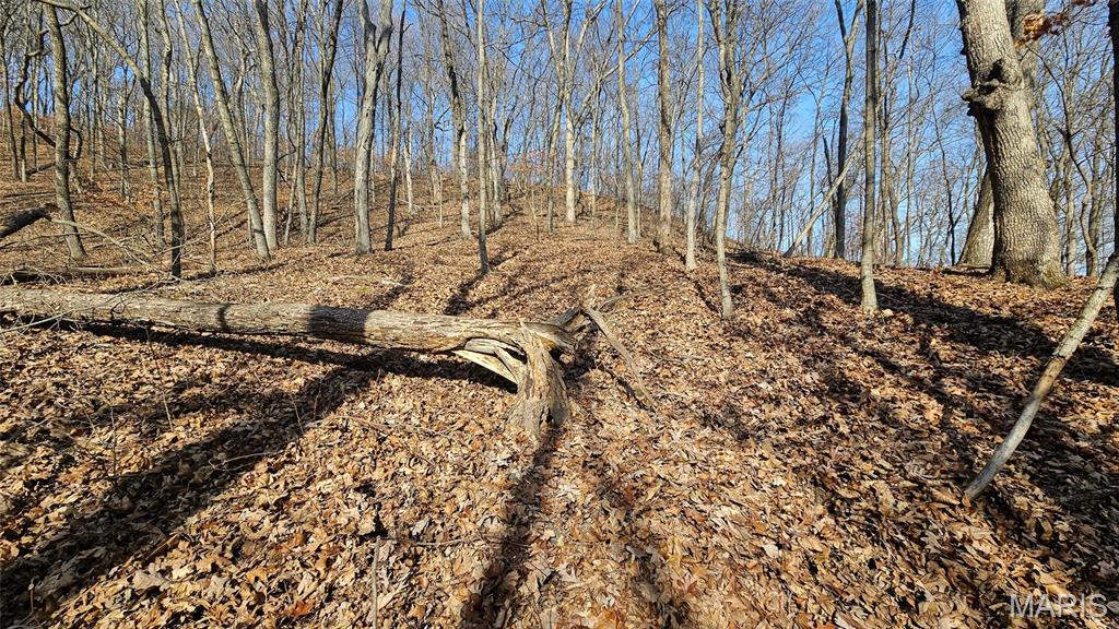 205 Hemsath Property Photo 16
