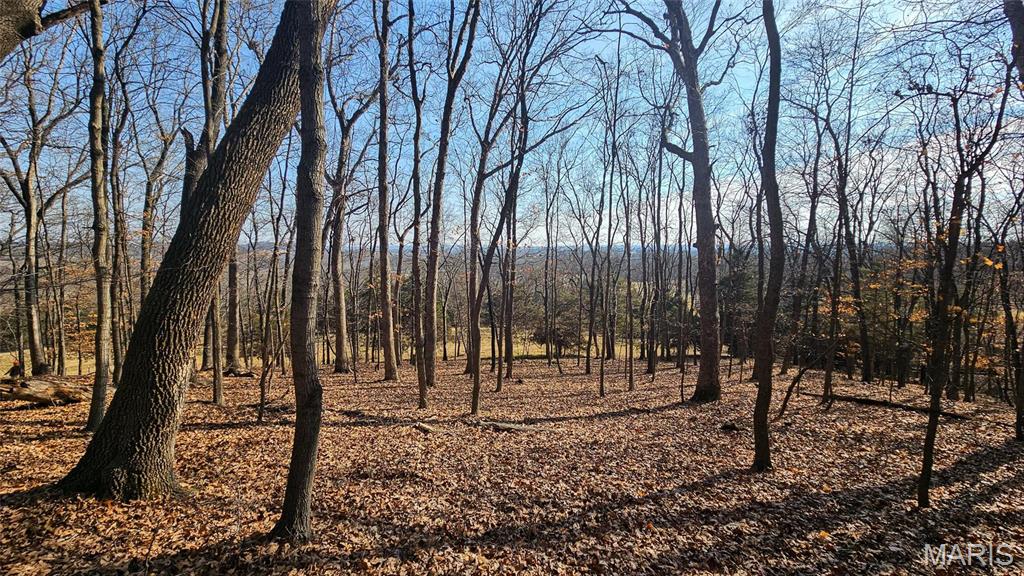 205 Hemsath Property Photo 17