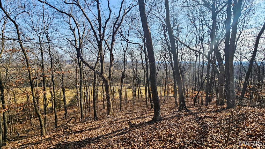 205 Hemsath Property Photo 18